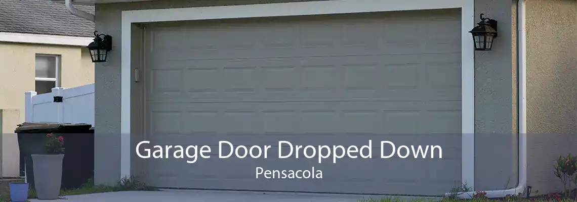 Garage Door Dropped Down Pensacola