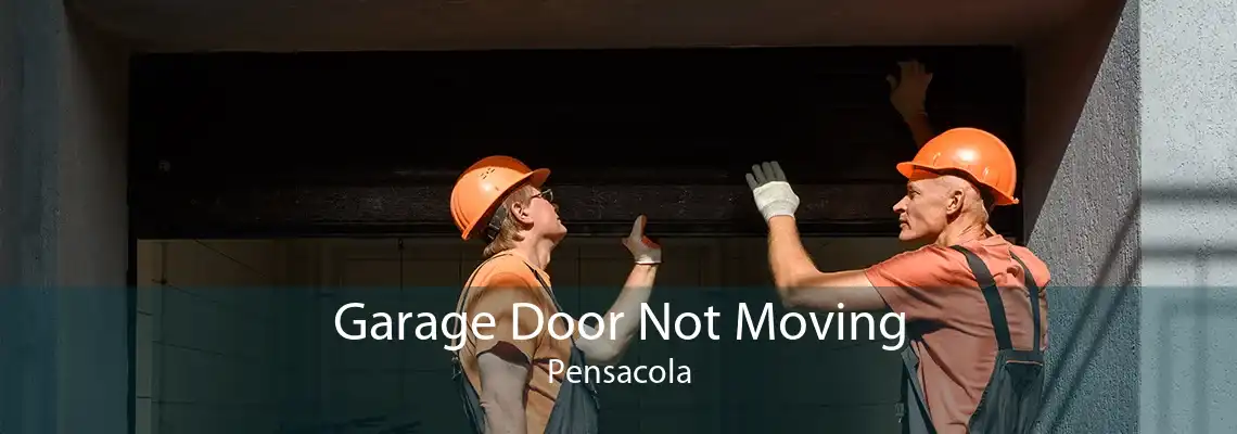 Garage Door Not Moving Pensacola