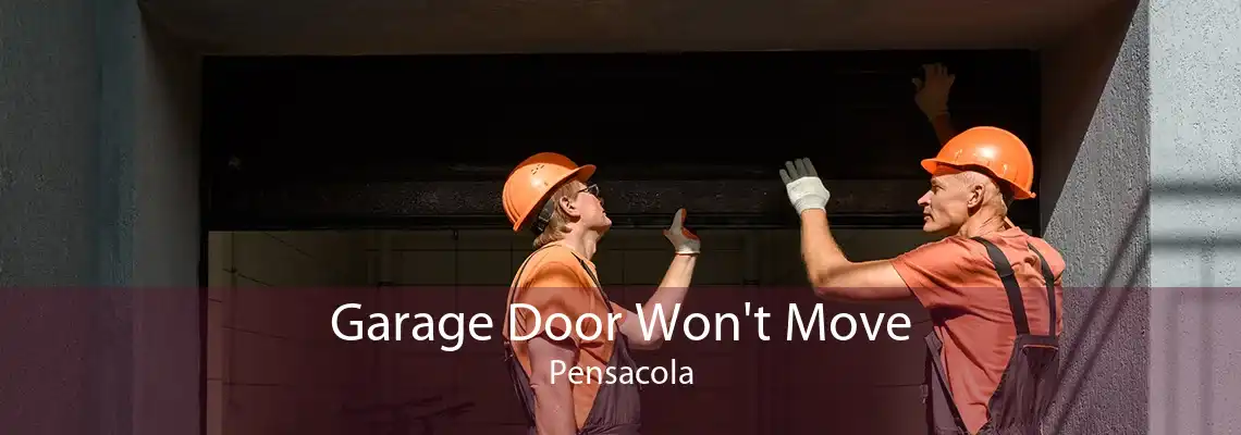 Garage Door Won't Move Pensacola